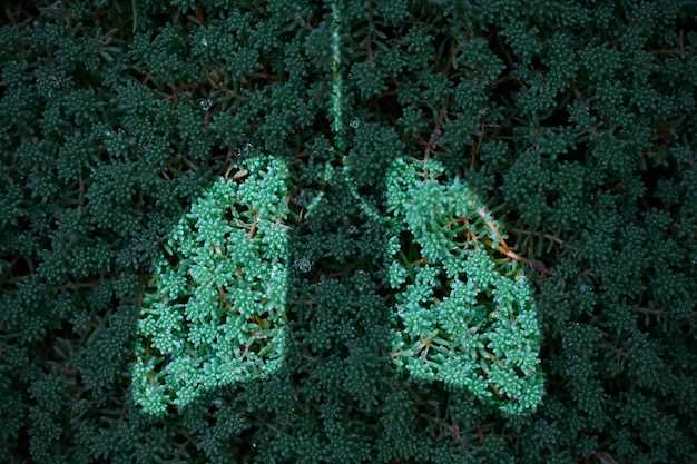 Сколько времени туберкулез может жить на поверхности?